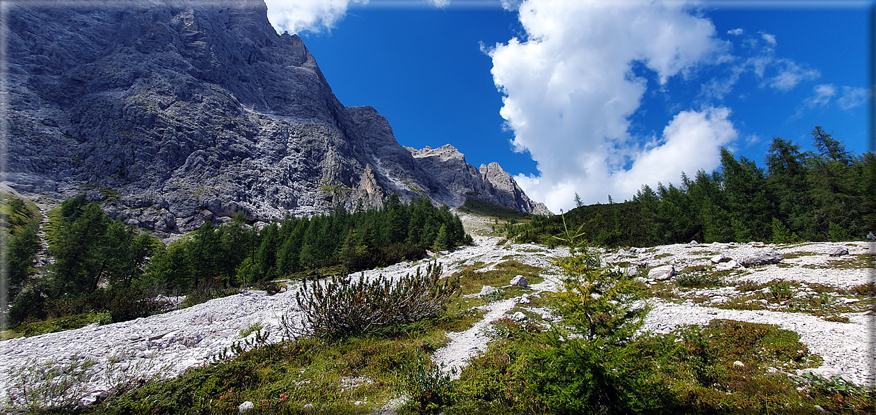 foto Prati di Croda Rossa